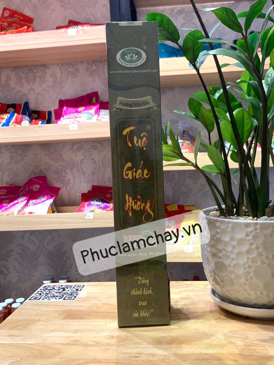 TUỆ GIÁC HƯƠNG 100 NÉM (90')